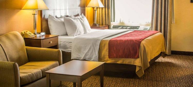 凯艺套房酒店(Quality Inn & Suites)图片