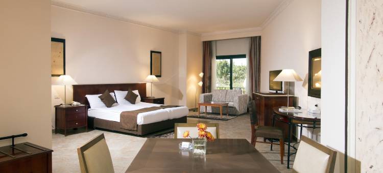 瑞士旅馆广场酒店(Swiss Inn Plaza Hotel)图片