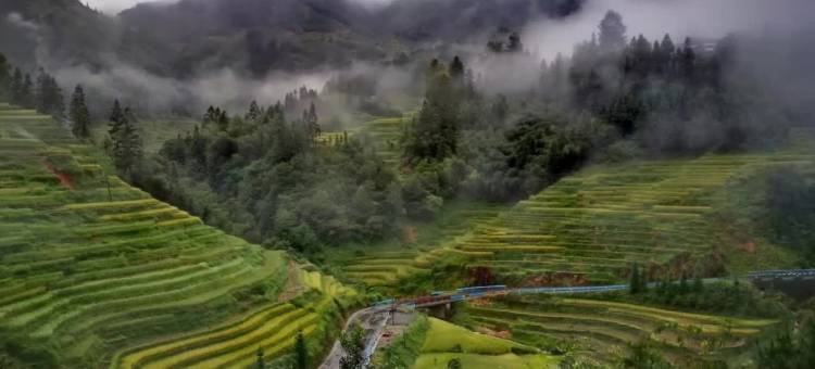 从江加榜云上梯田景观酒店图片