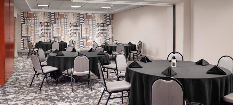 底特律市区希尔顿花园旅馆(Hilton Garden Inn Detroit Downtown)图片