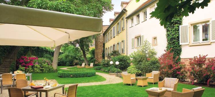 A la Cour d'Alsace by HappyCulture图片