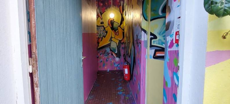 绿色旅舍(The Green Hostel)图片