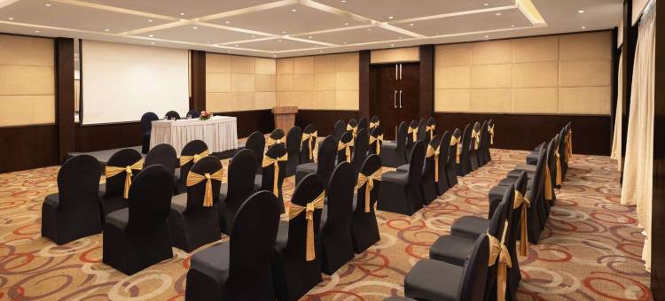 金色郁金香斯里纳格(Golden Tulip Srinagar)图片