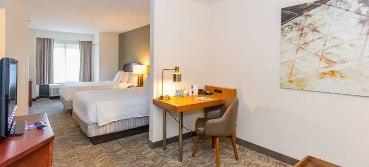 坦帕西岸机场万豪SpringHill酒店(SpringHill Suites Tampa Westshore Airport)图片