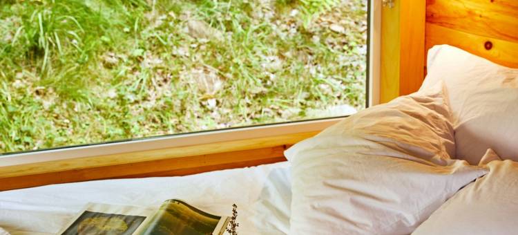 明信片小屋阿什伯勒，万豪旅享家户外系列(Postcard Cabins Asheboro)图片