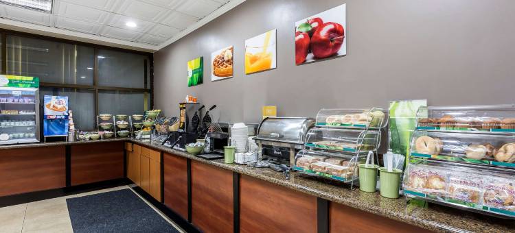 洛杉矶机场凯艺套房酒店-LAX(Quality Inn & Suites Los Angeles Airport - LAX)图片