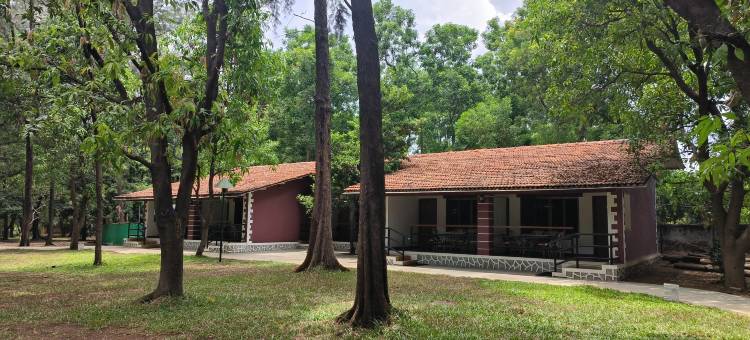 松林度假村(Pinewood Resort)图片