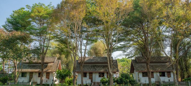 重新连接自然小屋派(Re-Connect Nature Lodge Pai)图片