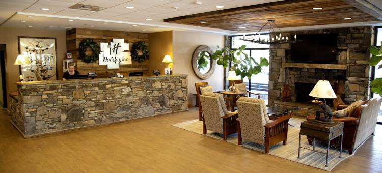 Holiday Inn 阿什维尔，比尔特莫尔东(Holiday Inn Asheville East-Blue Ridge Pkwy)图片