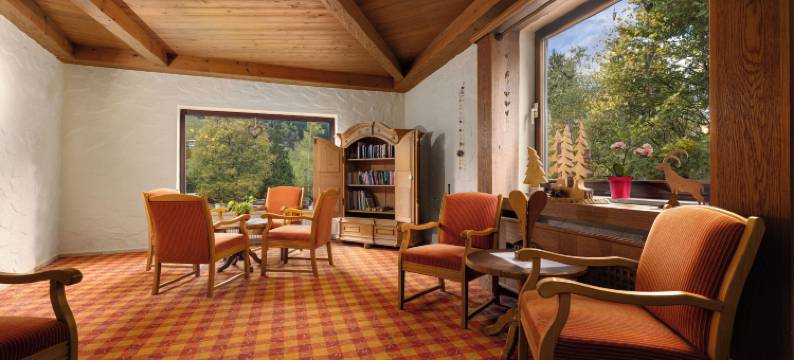 IFA布赖塔赫河克勒恩瓦尔斯尔塔尔公寓(IFA Breitach Apartments Kleinwalsertal)图片