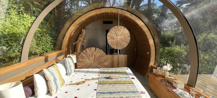 布瓦谢里泡泡小屋(Bubble Lodge Bois Chéri Plantation)图片