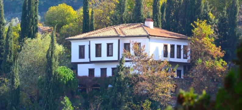 尼斯安尼安酒店(Nisanyan Hotel)图片