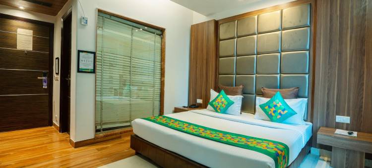 Treebo 双树(Treebo Twin Tree)图片