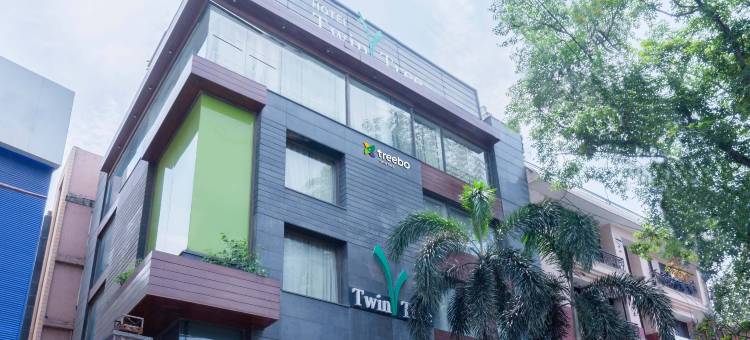 Treebo 双树(Treebo Twin Tree)图片