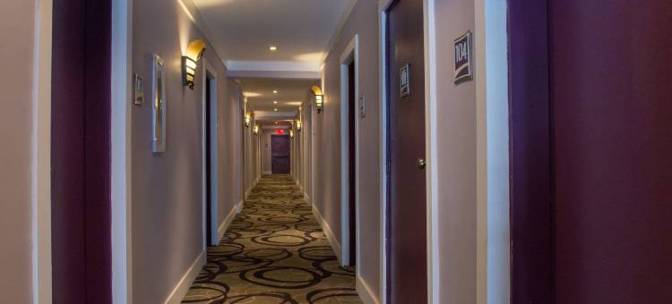 雪莱酒店(Shelley Hotel)图片