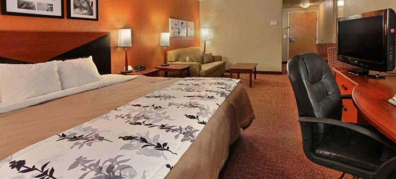 奥卡拉/贝尔维尤舒眠套房酒店(Sleep Inn & Suites Ocala)图片