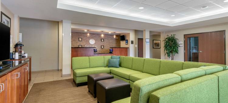 马里恩I-57号舒适套房酒店(Comfort Inn & Suites Marion I-57)图片