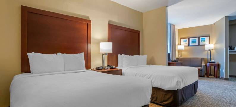 弗利北部湾岸舒适套房酒店(Comfort Suites Foley - North Gulf Shores)图片