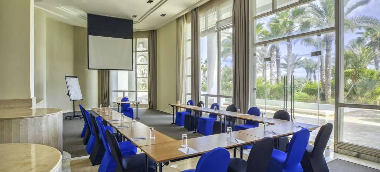 吉尔巴岛丽笙皇宫海水浴度假村(Radisson Blu Palace Resort and Thalasso)图片