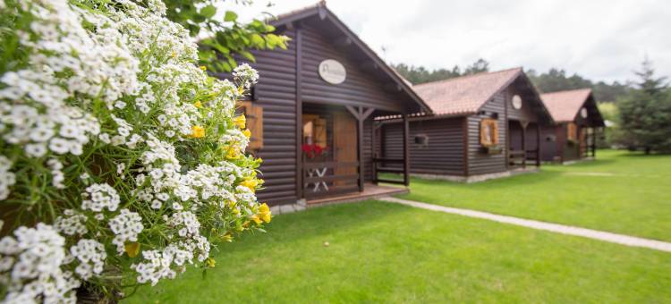 里拉斯卡巴纳斯乡村民宿(Cabañas de Lires)图片