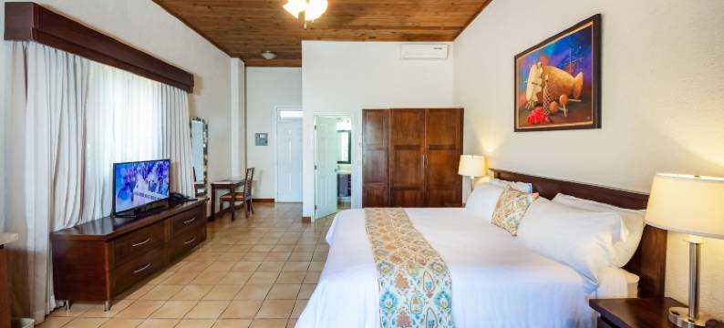 泰雷兹别墅酒店(Hotel Villa Therese)图片