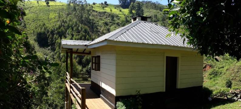 凯玛凯亚茶之小屋饭店(Kimakia Tea Cottages)图片