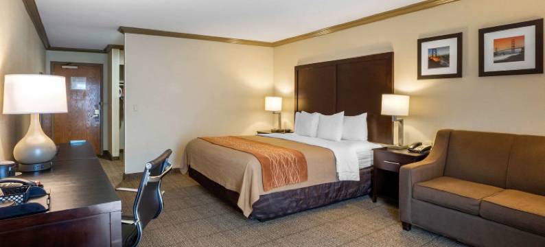 卡斯特罗谷舒适酒店(Comfort Inn Castro Valley)图片