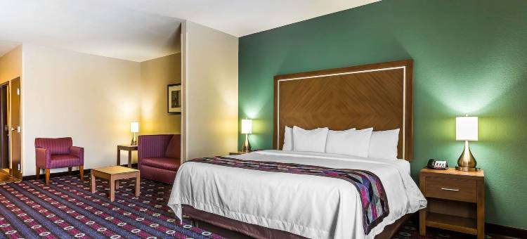 纽卡斯尔俄克拉荷马城舒适酒店(Comfort Inn & Suites Newcastle - Oklahoma City)图片