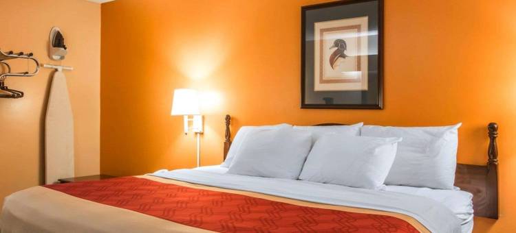 尤法拉南伊克诺旅馆(Econo Lodge Eufaula South)图片