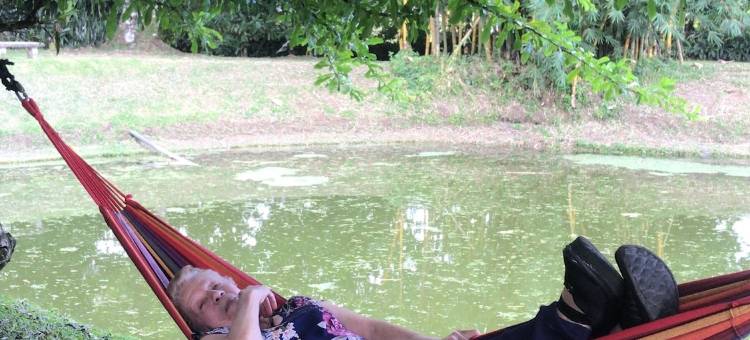 科洛雷阿雷纳尔酒店(Hotel Colores del Arenal)图片