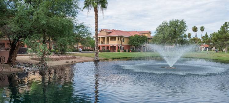 韦斯特盖特平特德山脉高尔夫度假村(Westgate Painted Mountain Golf Resort)图片