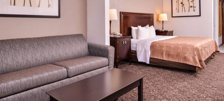 凯艺套房酒店(Quality Inn & Suites)图片