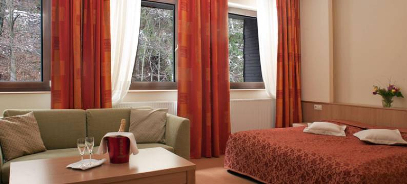 步酒店(Hotel Stupka)图片