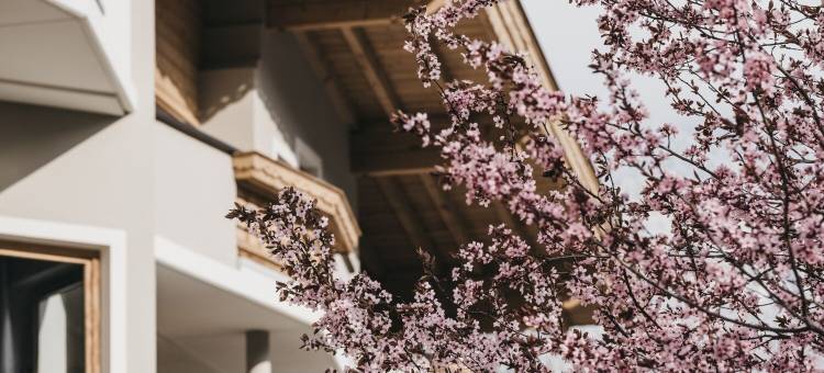 VAYA Resort Zillertal图片