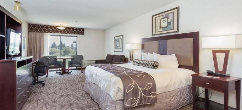 希洛套房酒店-爱达荷福尔斯(Shilo Inn Suites - Idaho Falls)图片