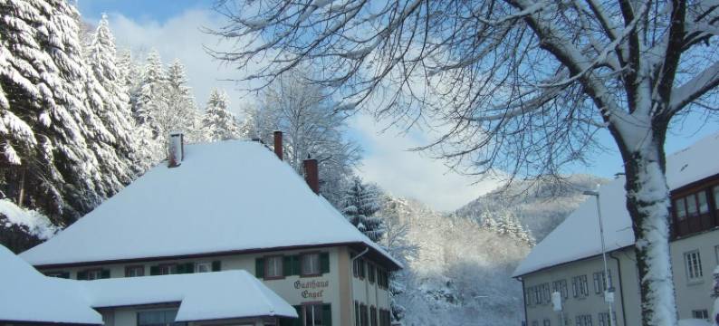 巴拿巴庄园在恩格尔-恩格尔客栈(Haus Barnabas im Engel, Gasthaus Engel)图片