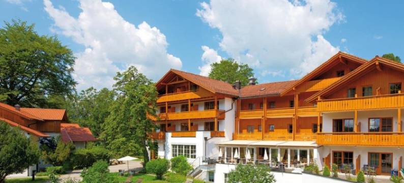 维德曼维塔尔酒店(Hotel Wiedemann)图片