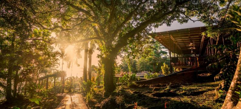 巴姆布达旅舍(Bambuda Lodge)图片