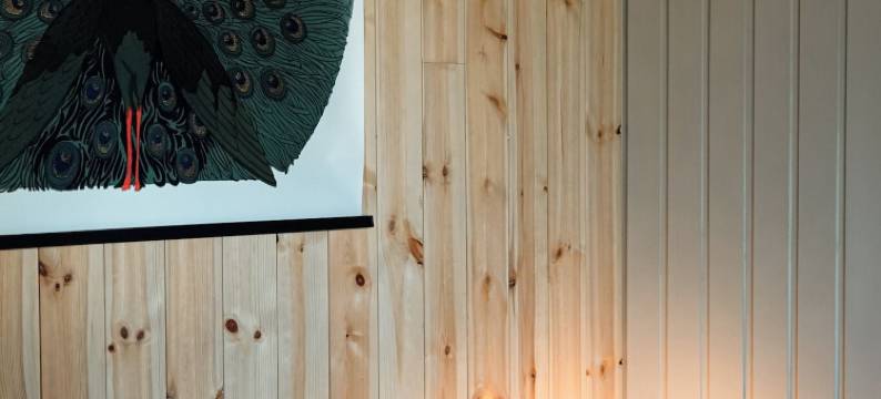 布拉特霍门别墅(VILLA BRATTHOLMEN)图片