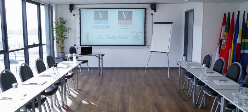 瓦提尔酒店(Hotel Vatel Bordeaux)图片