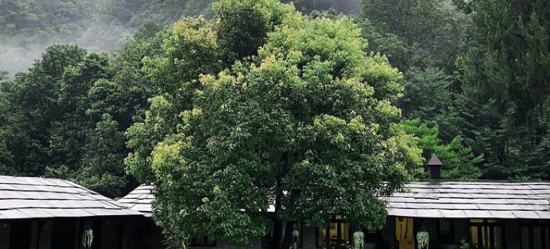 尼泊尔山居 - 比雷坦蒂(Mountain Lodges of Nepal - Birethanti)图片