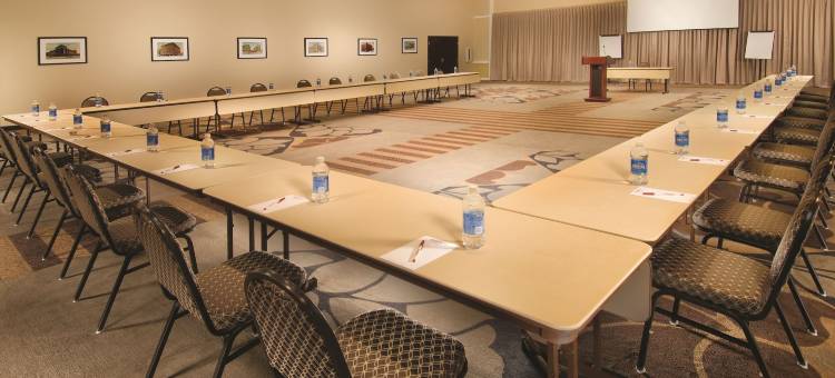 威奇托博文德鲁里广场酒店(Drury Plaza Hotel Broadview Wichita)图片