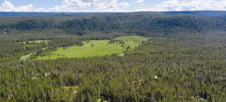 小狐狸(Little Fox by Kabino Fire Pit Large Yard Loft with Low Ceiling Grill WiFi)图片