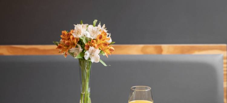 国际城卡诺阿斯(Intercity Canoas)图片