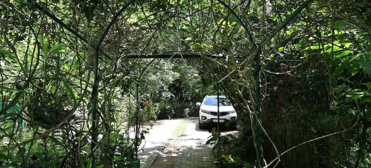 辛哈拉加河旅馆(Sinharaja River Lodge)图片