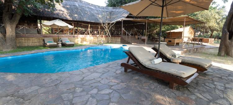 Zikomo野生动物园旅馆(Zikomo Safari Lodge)图片