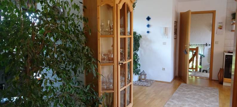 全景公寓(Ferienwohnung Panorama)图片