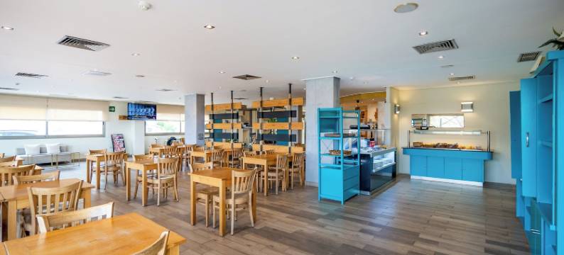 埃尔切康铂饭店(Hotel Yit Ciudad de Elche)图片