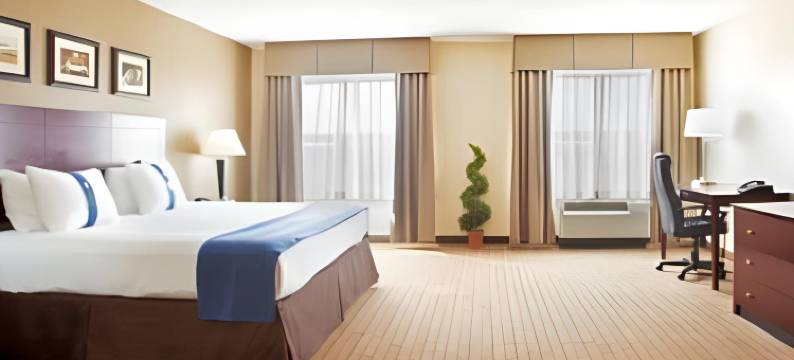 Holiday Inn 奥罗拉北，内珀维尔(Holiday Inn AURORA NORTH- NAPERVILLE by IHG)图片