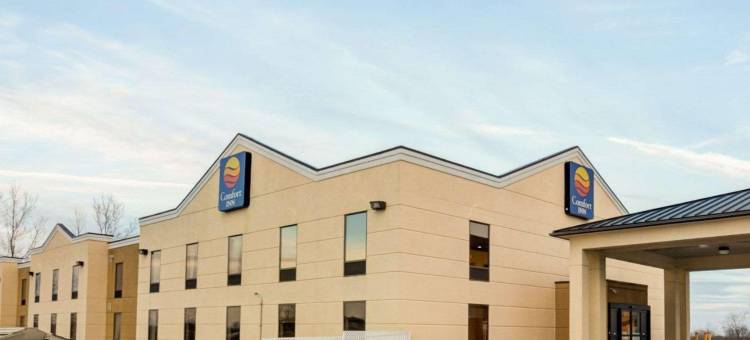 舒适酒店汉堡区 / I-75列克星敦(Comfort Inn Lexington I-75)图片